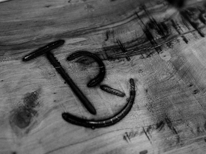 Cottages (United States of America, Granbury, Texas)