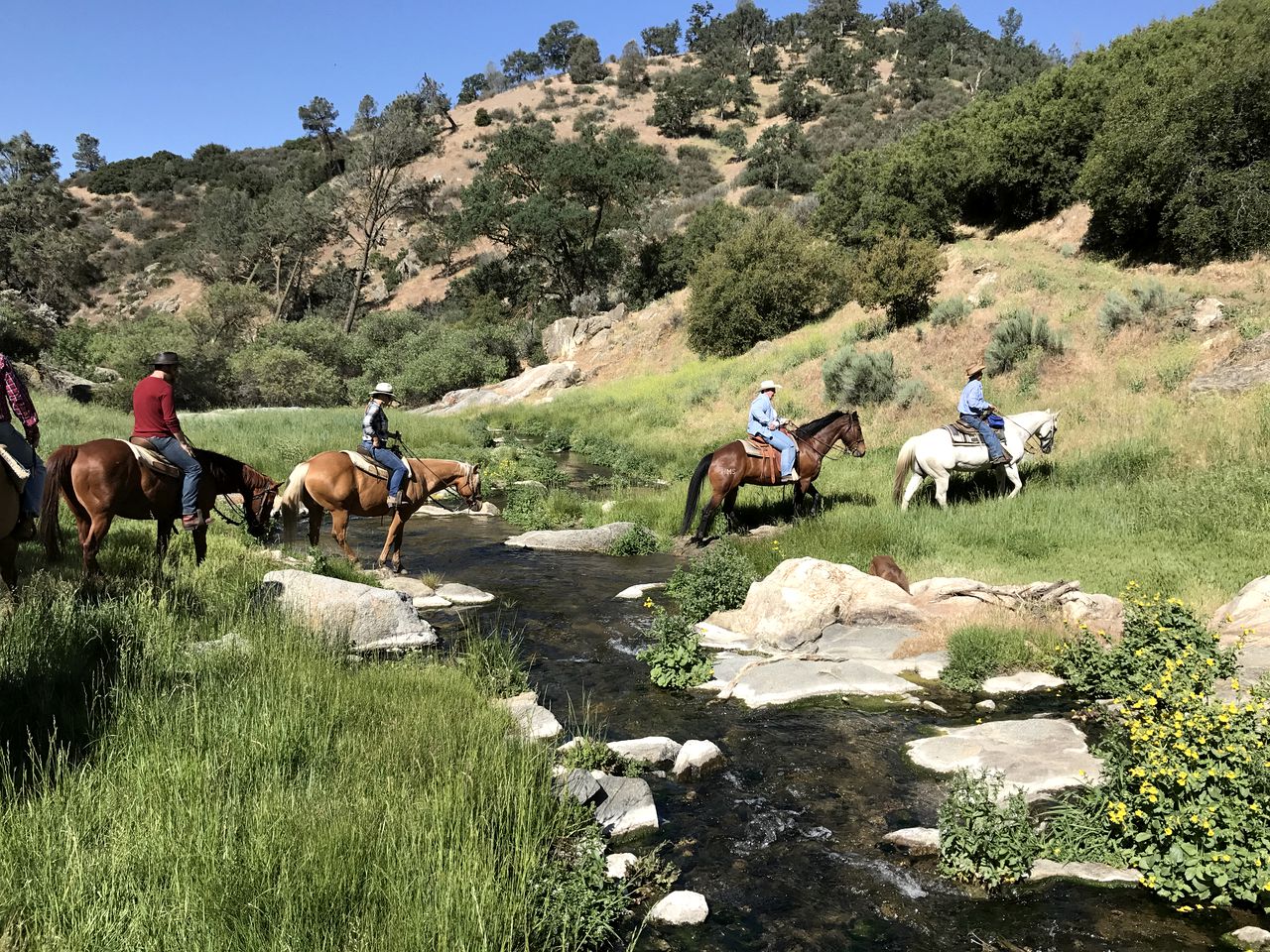 Rural Ranch Vacation Rental near Sequoia National Forest, California