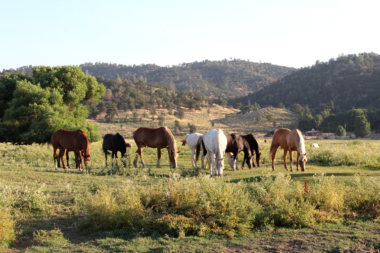 Nature Lodges (Caliente, California, United States)