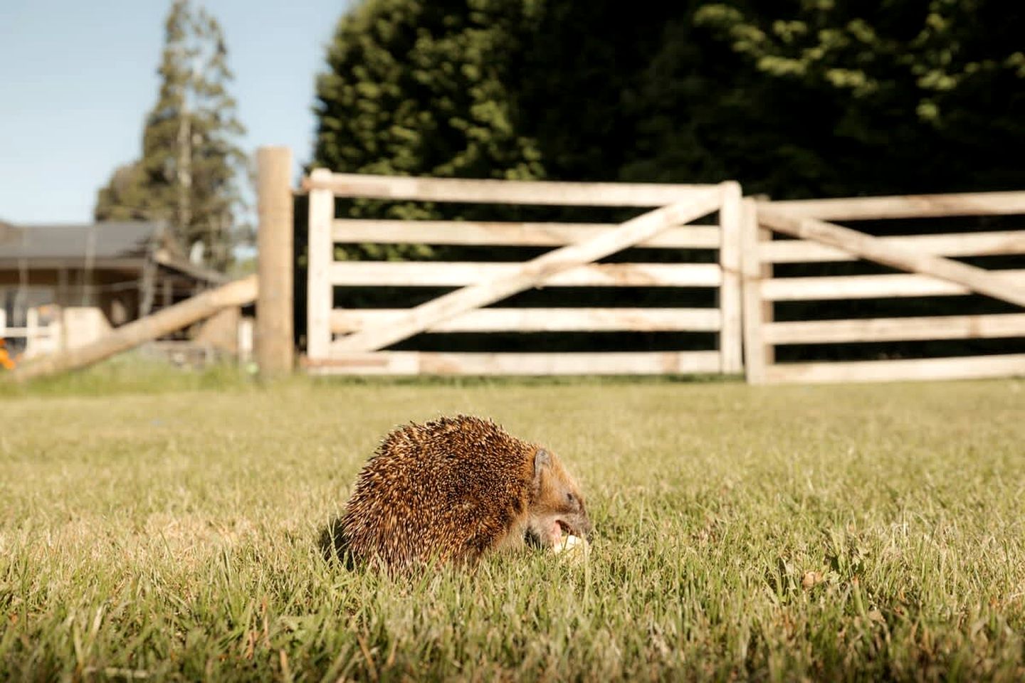 Rural Tiny House with Amazing Starry Night and Sunset Views in Te Anau, South Island