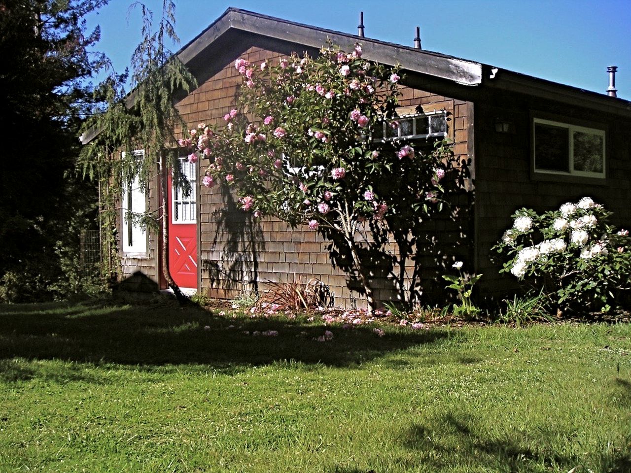 Rural Vacation Cottage near the Coast and the Town of Albion in Northern California