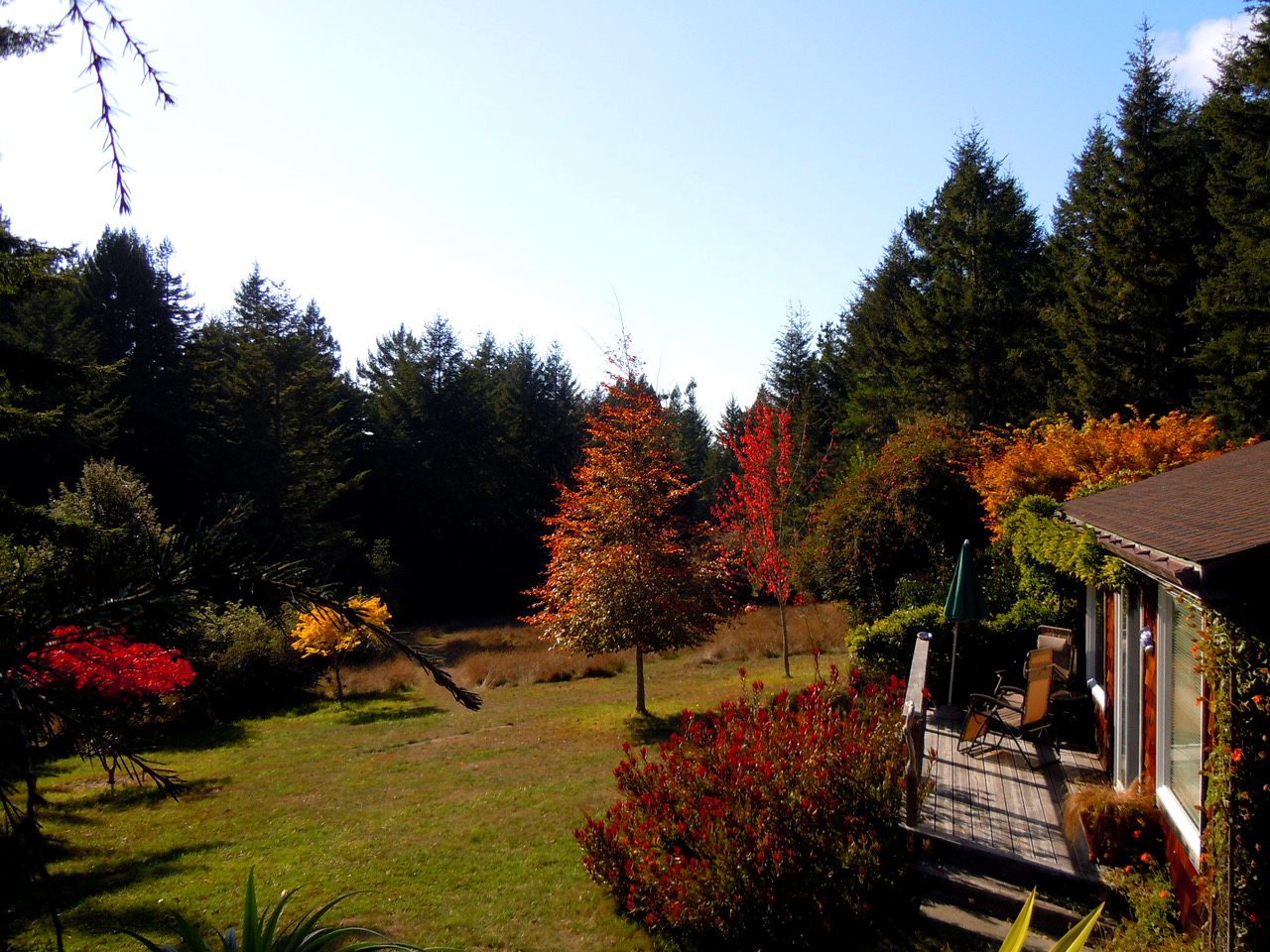 Rural Vacation Cottage near the Coast and the Town of Albion in Northern California