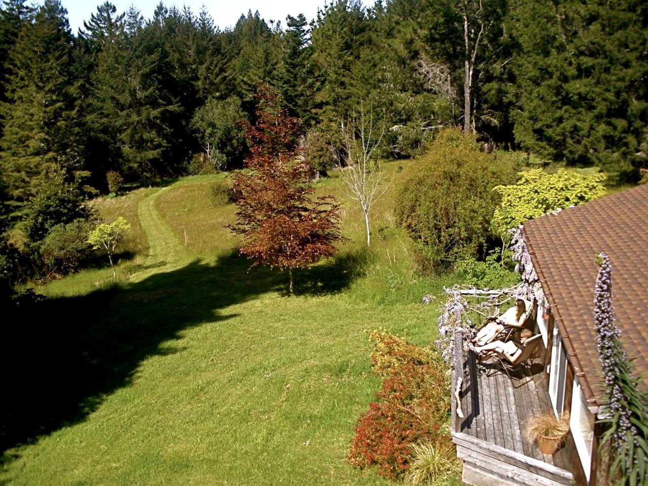 Rural Vacation Cottage near the Coast and the Town of Albion in Northern California