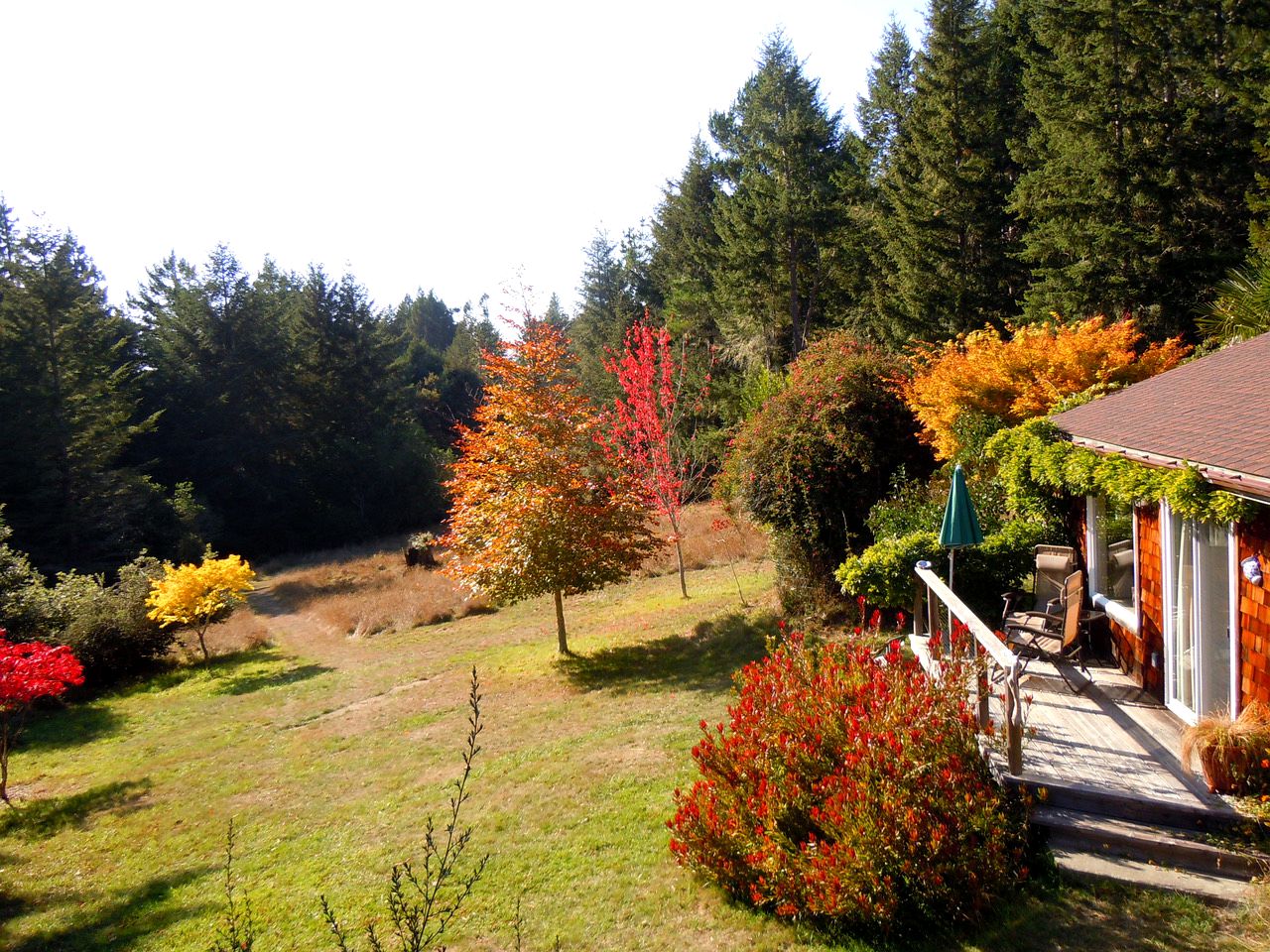 Rural Vacation Cottage near the Coast and the Town of Albion in Northern California