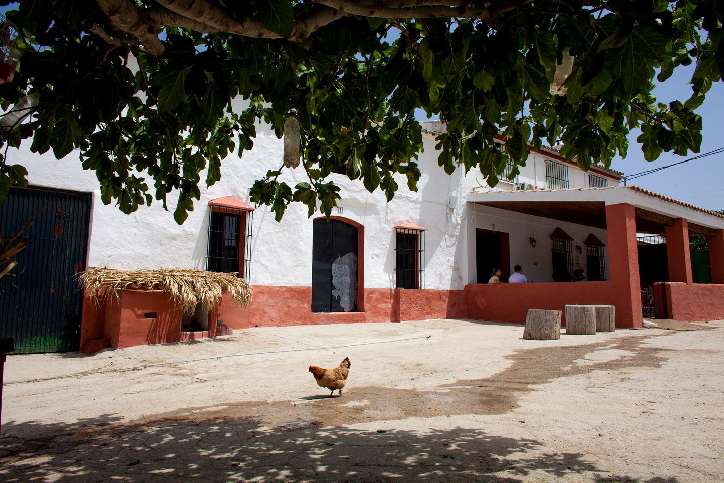 Rural Vacation Rental for a Group Retreat in the Beautiful Region of Andalusia, Spain