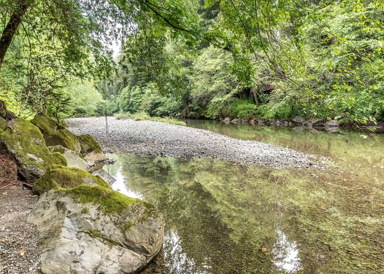 Rental Cabin on Creek near Forestville, California