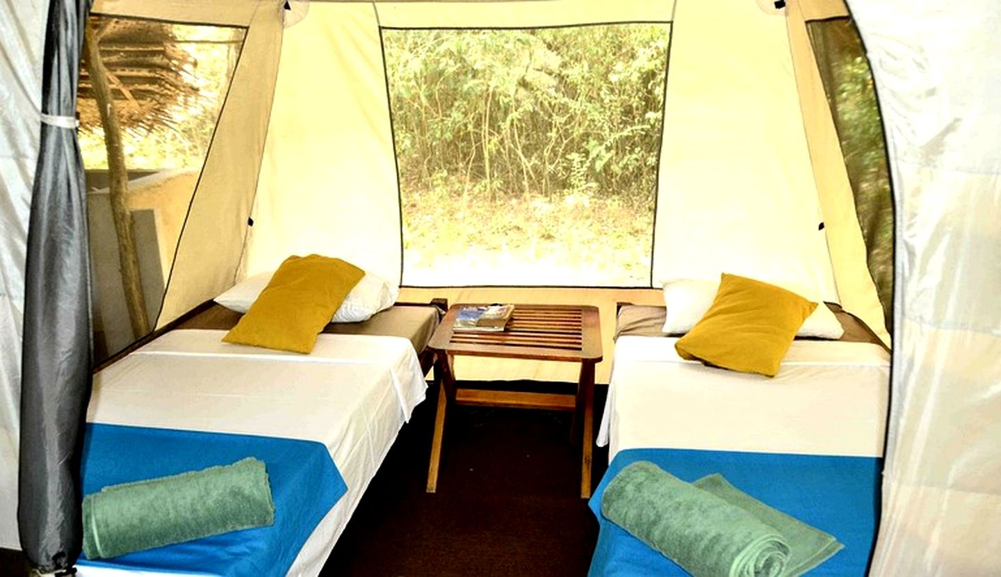 Rustic and Cozy Eco Lodge Safari Tent, Sri Lanka