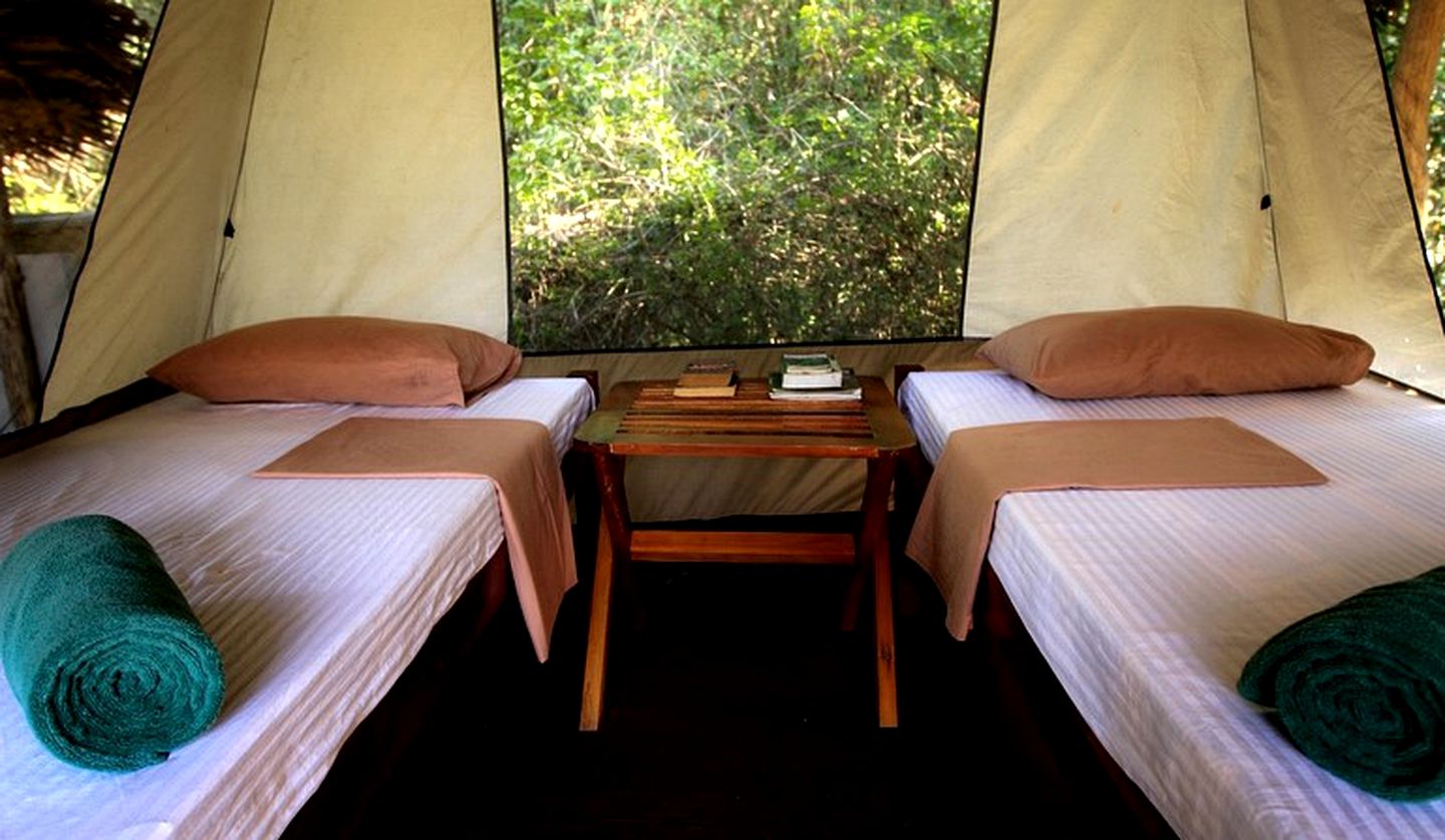 Rustic and Cozy Eco Lodge Safari Tent, Sri Lanka