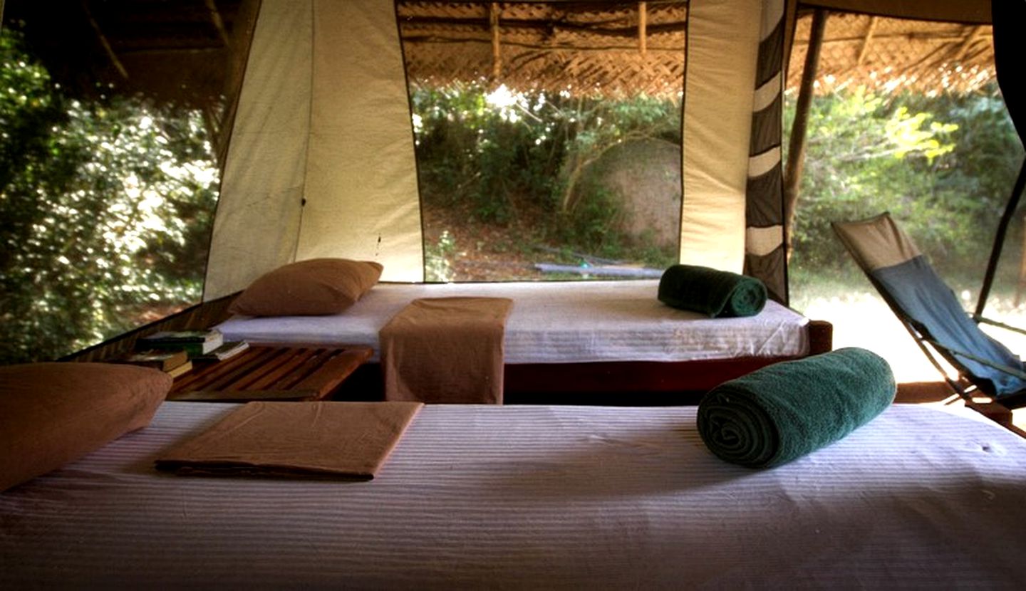 Rustic and Cozy Eco Lodge Safari Tent, Sri Lanka