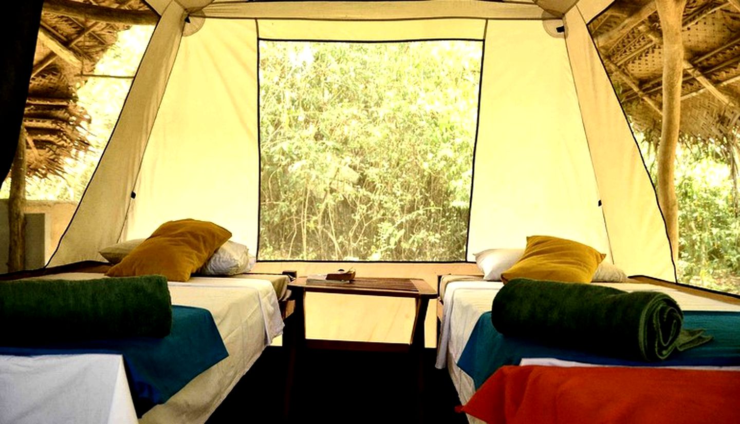 Rustic and Cozy Eco Lodge Safari Tent, Sri Lanka