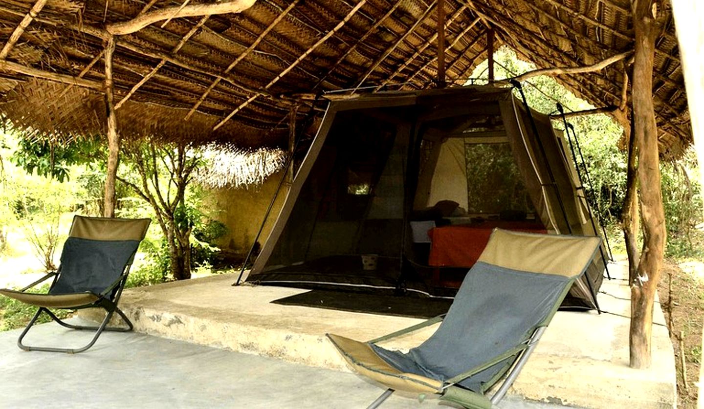 Rustic and Cozy Eco Lodge Safari Tent, Sri Lanka