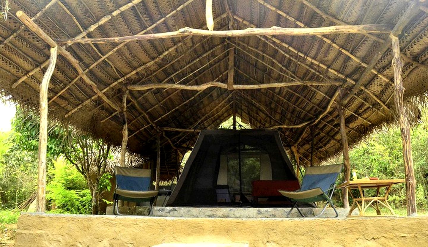 Rustic and Cozy Eco Lodge Safari Tent, Sri Lanka