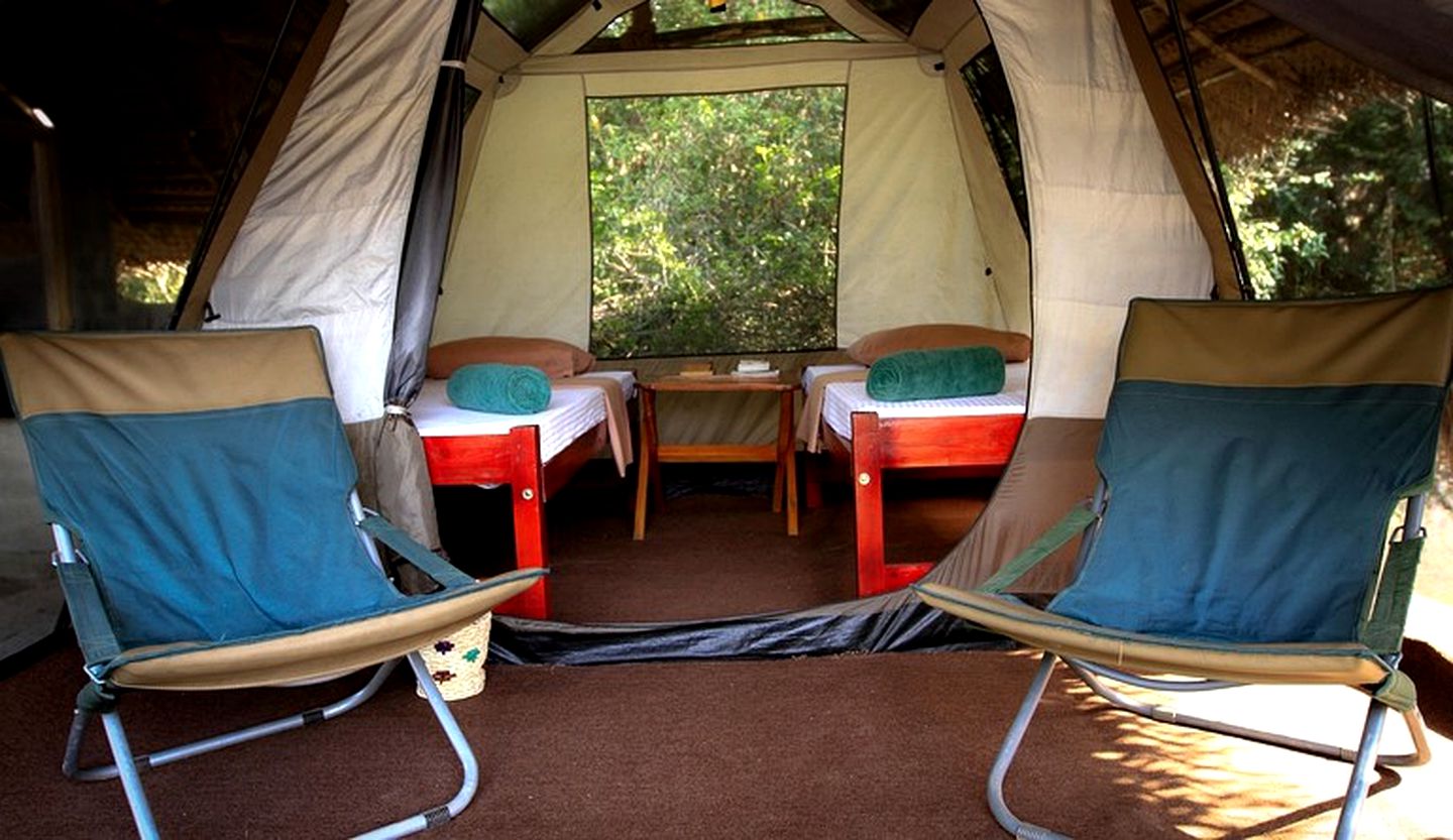 Rustic and Cozy Eco Lodge Safari Tent, Sri Lanka