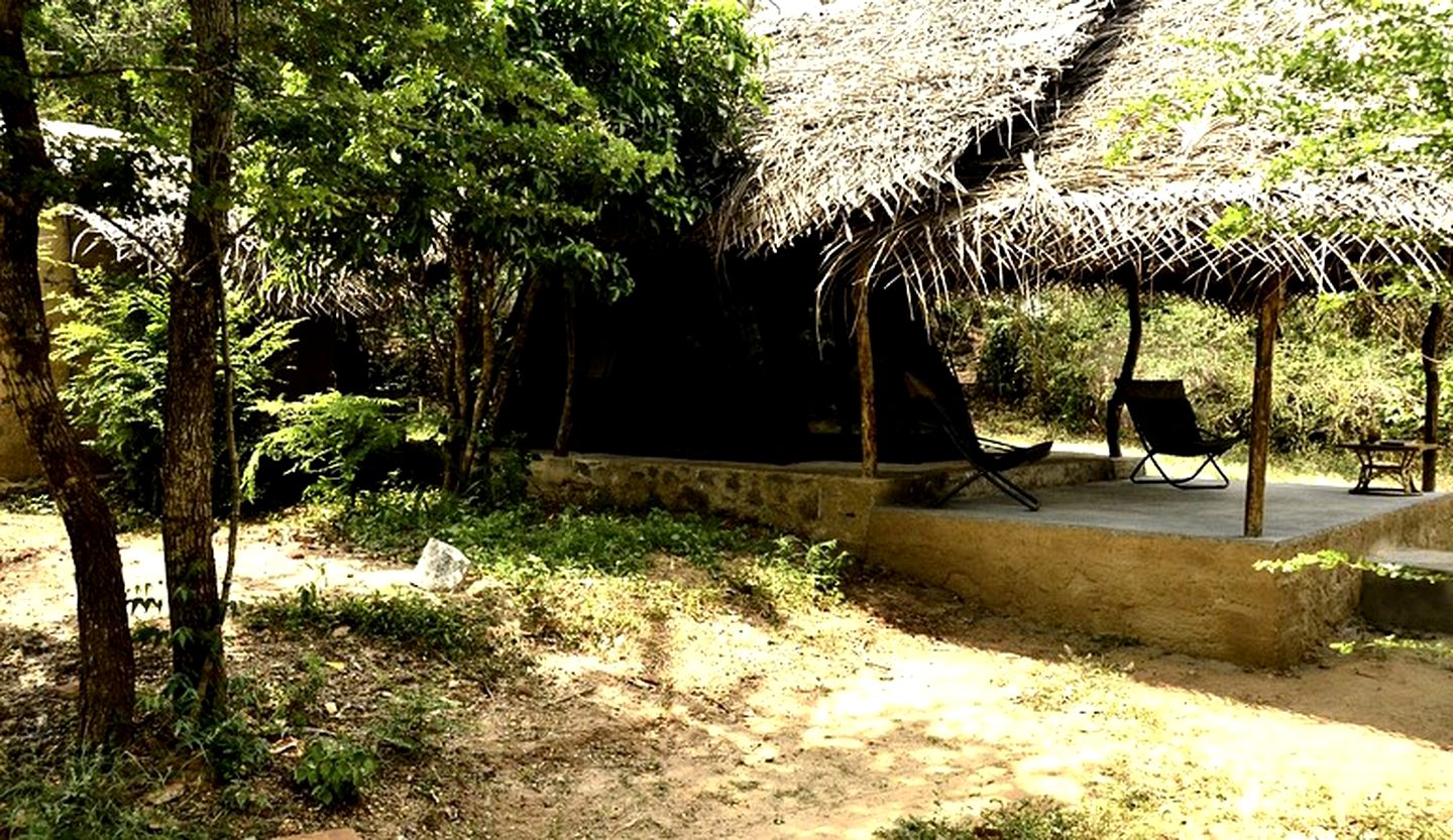 Rustic and Cozy Eco Lodge Safari Tent, Sri Lanka