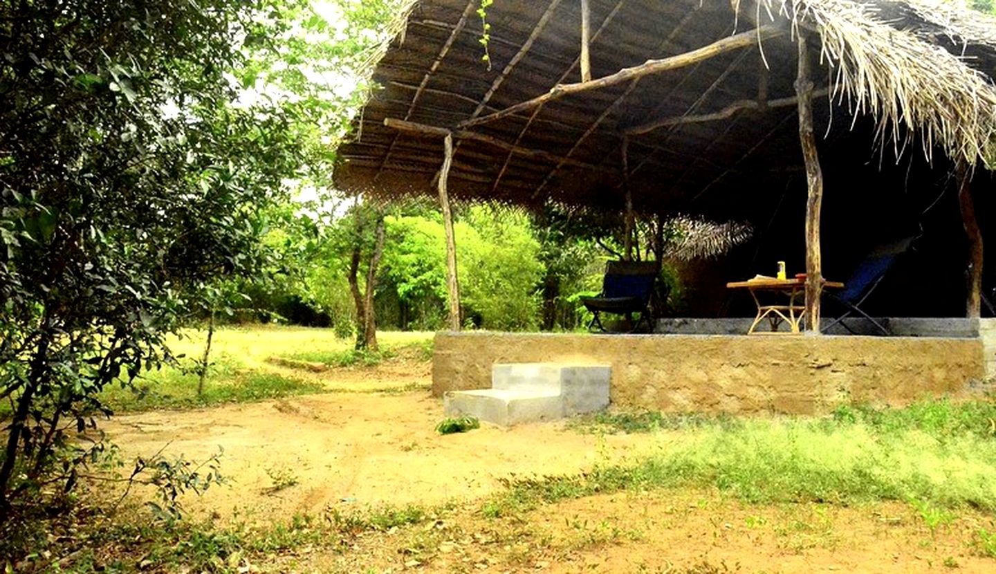 Rustic and Cozy Eco Lodge Safari Tent, Sri Lanka