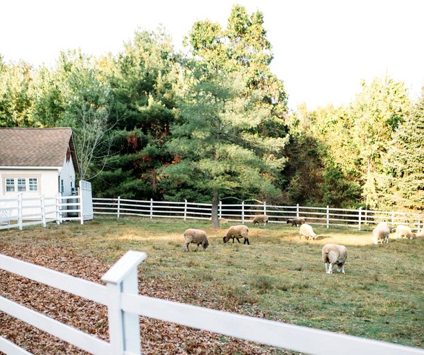Cottages (Doylestown, Pennsylvania, United States)
