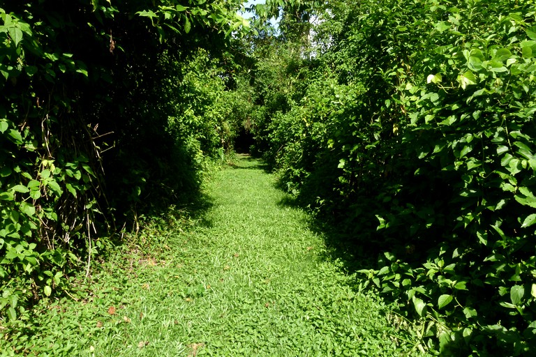 Huts (San Ignacio, Cayo District, Belize)