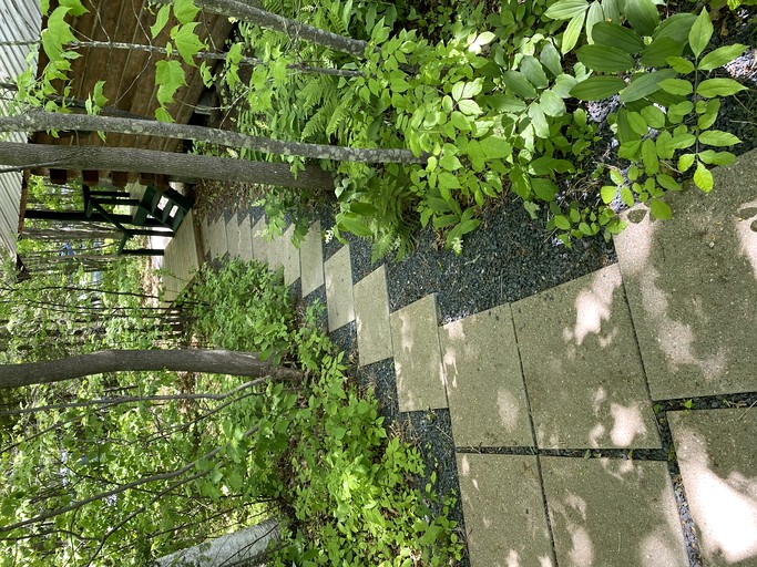 Cabins (United States of America, Bayfield, Wisconsin)