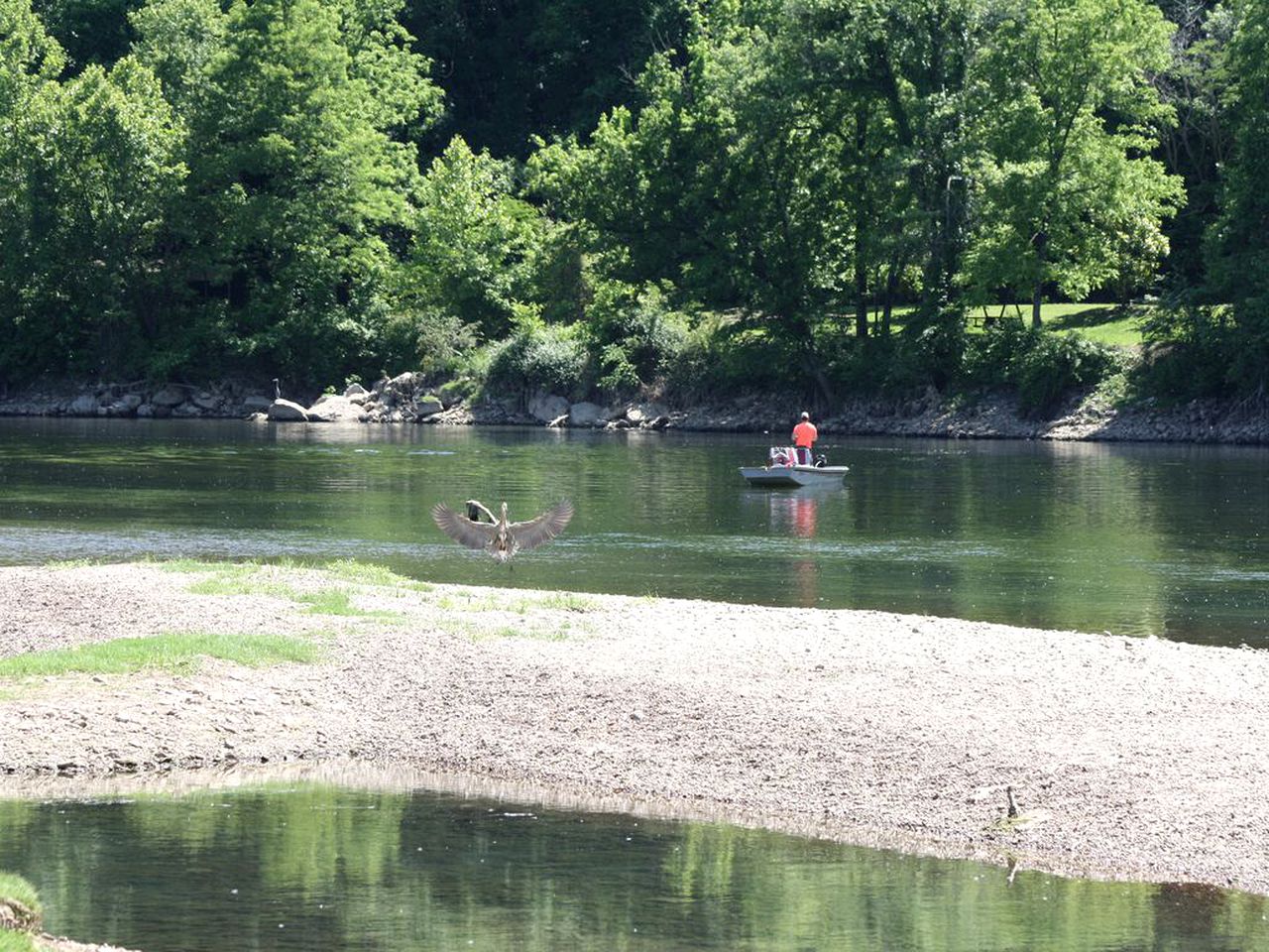 Gorgeous Rustic Log Cabin Rental with Fire Pit in Cotter, Arkansas