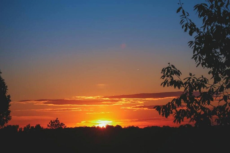 Cabins (United States of America, Gilmer County, Georgia)