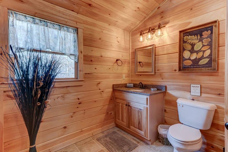 Cabins (United States of America, Gilmer County, Georgia)