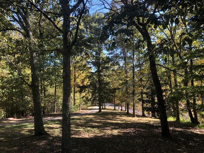 Cabins (United States of America, Franklin, Tennessee)