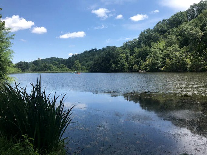 Cabins (United States of America, Franklin, Tennessee)