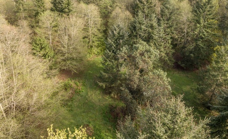 Rustic Cabin in Private 10-Acre Forest, Cabins, Vashon, United States ...