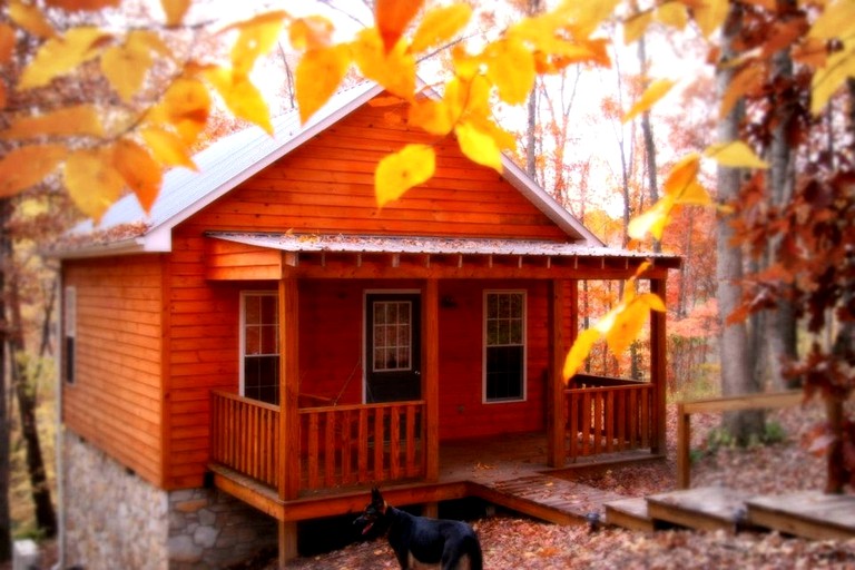Frog Holler Cabins Hawk's Nest, Cabins, Elkin, United States of