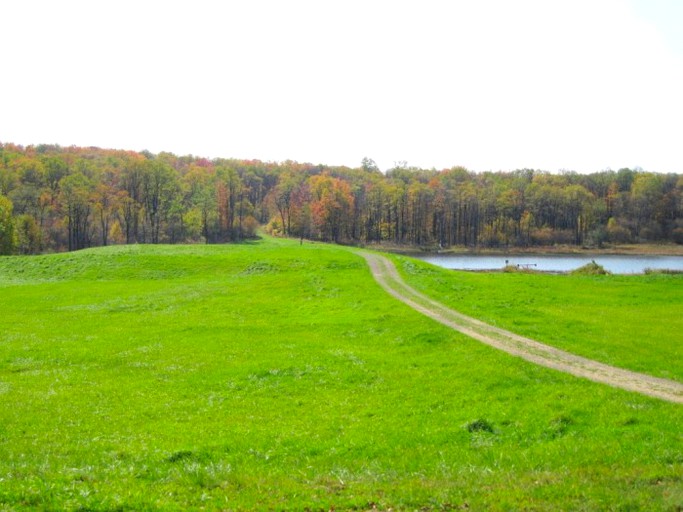 Barns (Marienville, Pennsylvania, United States)