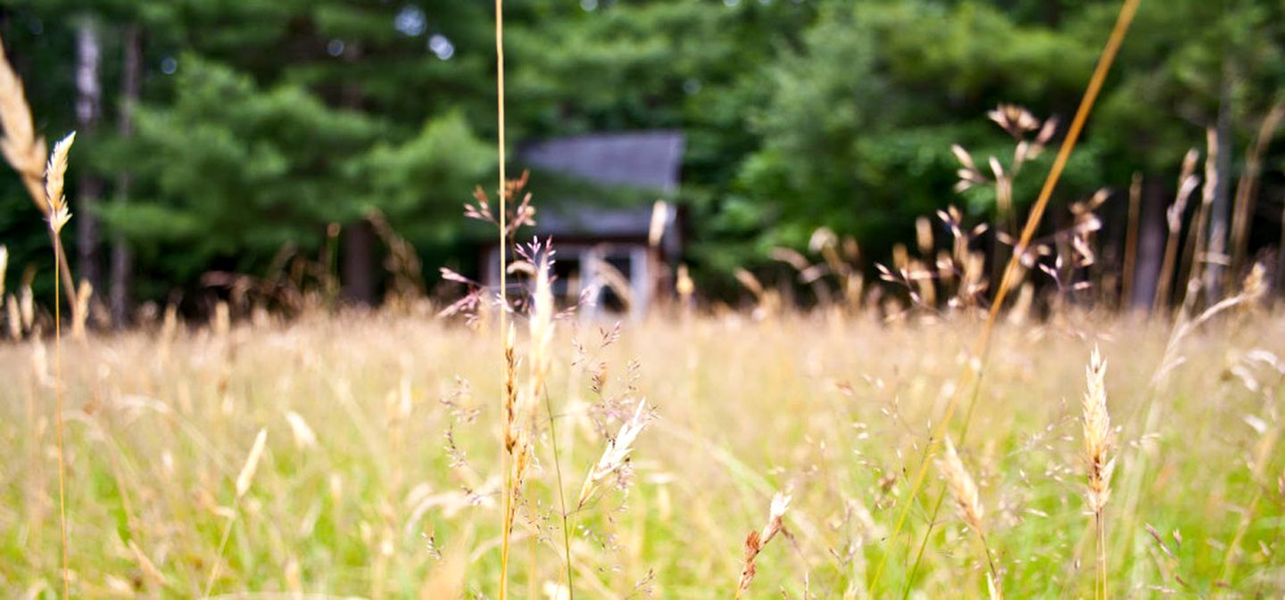 Rustic Cabin on Organic Farm and Creamery in Maine