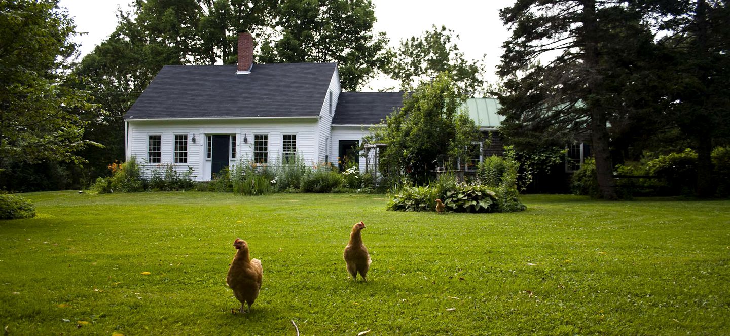 Rustic Cabin on Organic Farm and Creamery in Maine