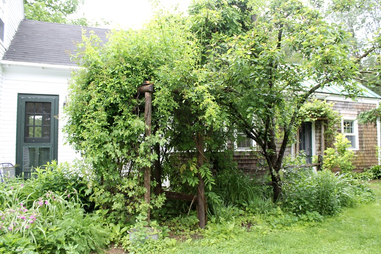 Cabins (Whitefield, Maine, United States)