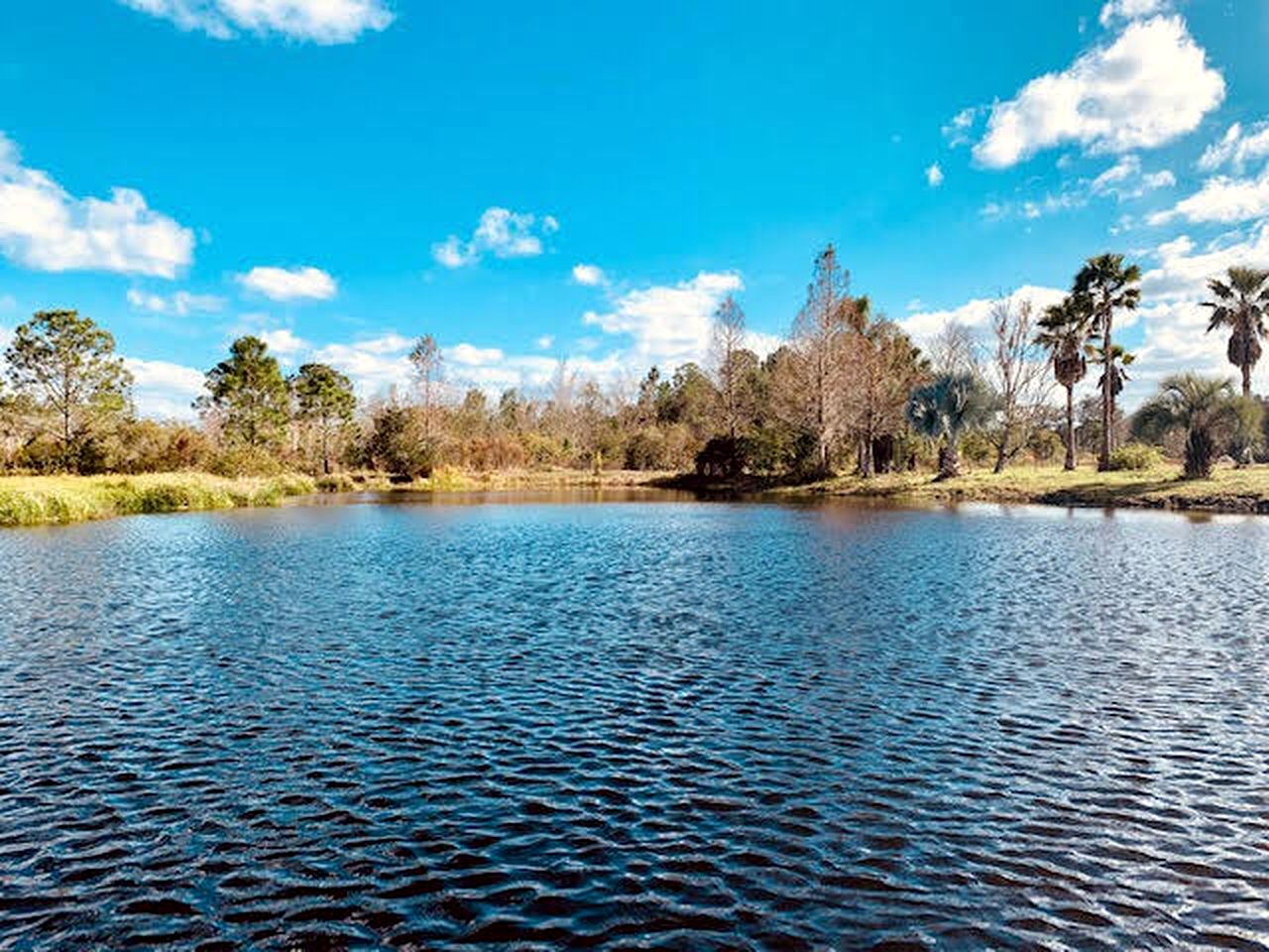 Rustic Cabin Rental on a Charming Farm near Orlando, Florida