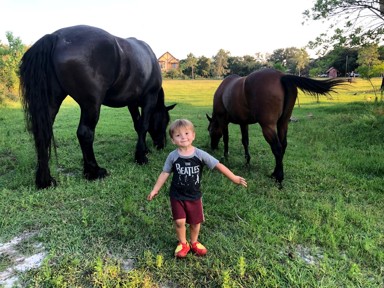 Rustic Cabin Rental on a Charming Farm near Orlando, Florida