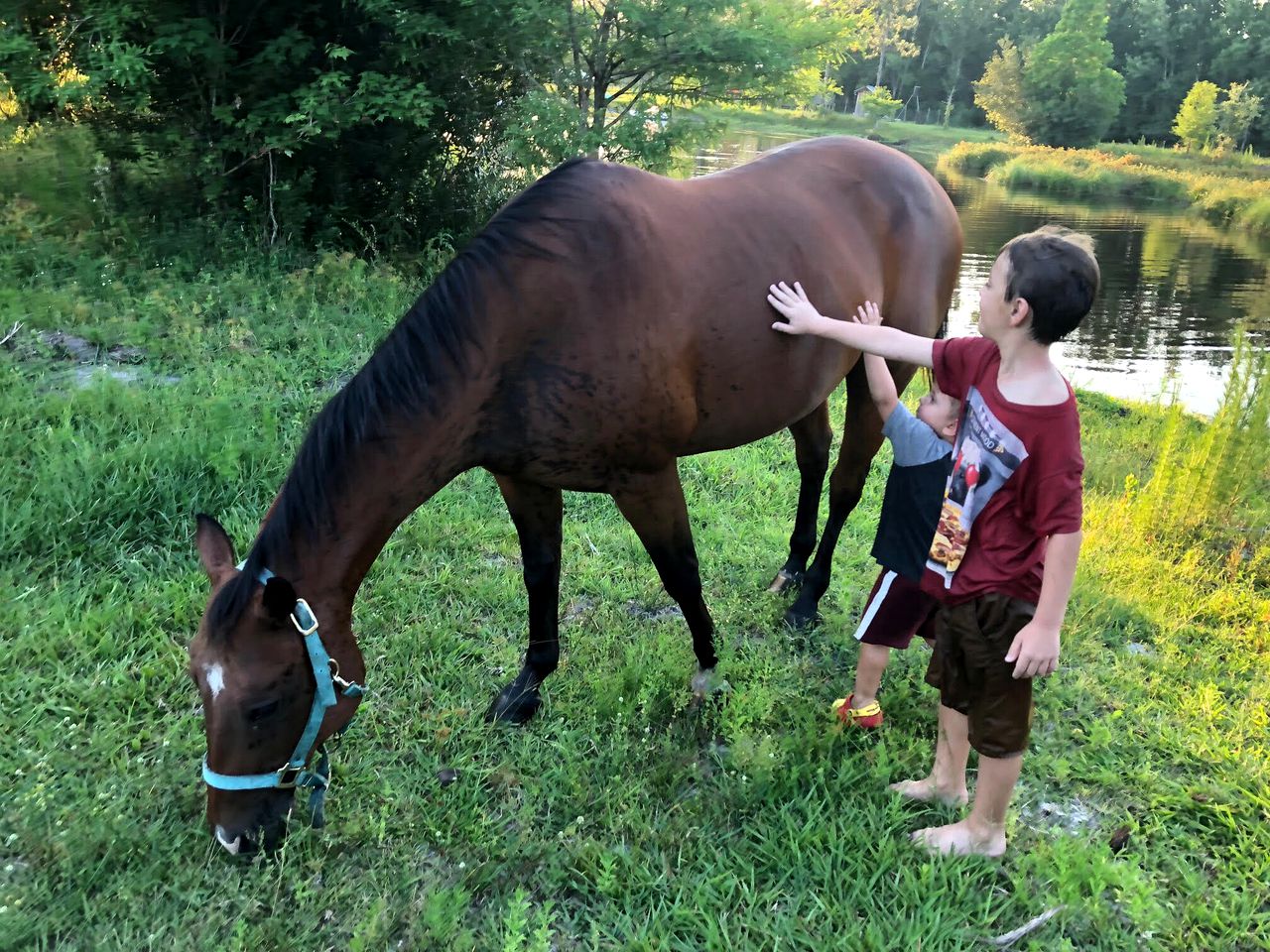 Rustic Cabin Rental on a Charming Farm near Orlando, Florida