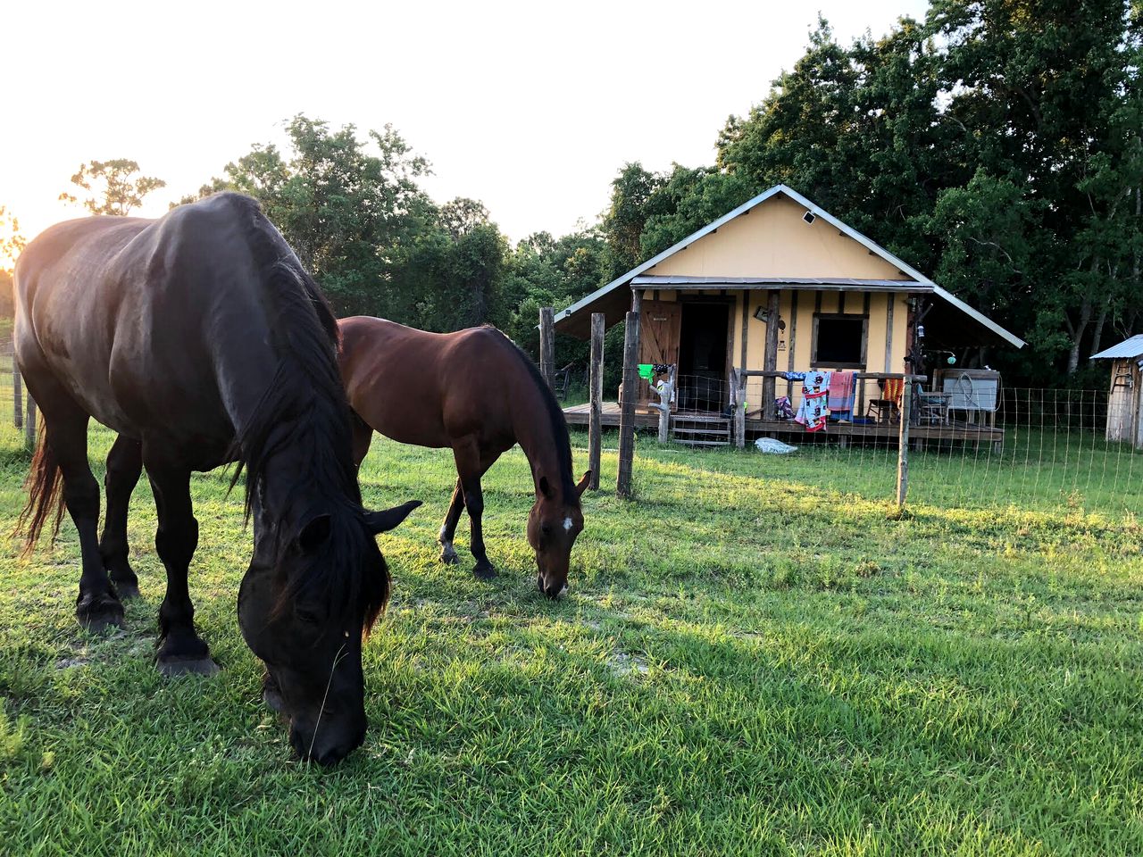 Rustic Cabin Rental on a Charming Farm near Orlando, Florida
