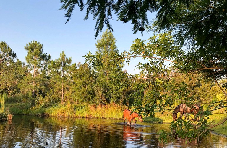 Cabins (Orlando, Florida, United States)