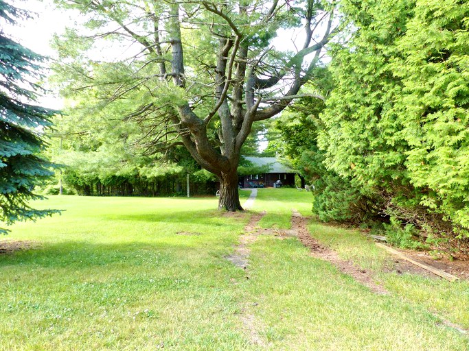 Cabins (Manistee, Michigan, United States)