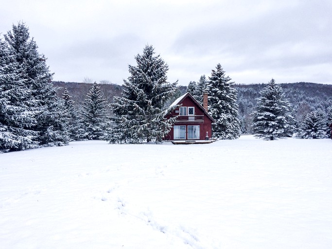 Cabins (Windham, New York, United States)