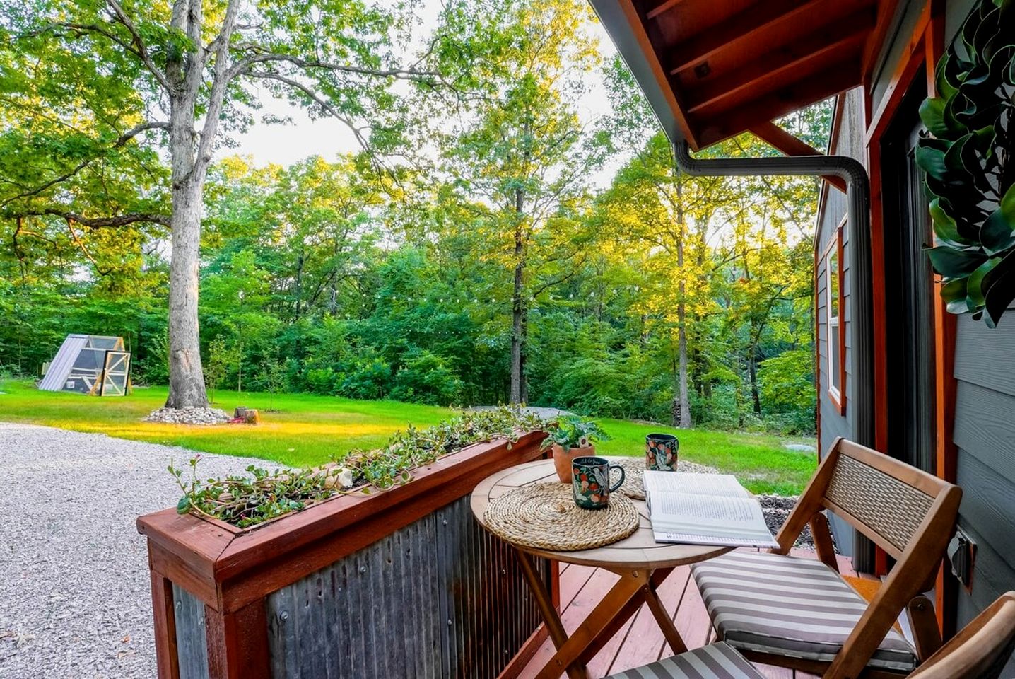 Off-Grid Cabin Surrounded by Trees in Pineville, Missouri