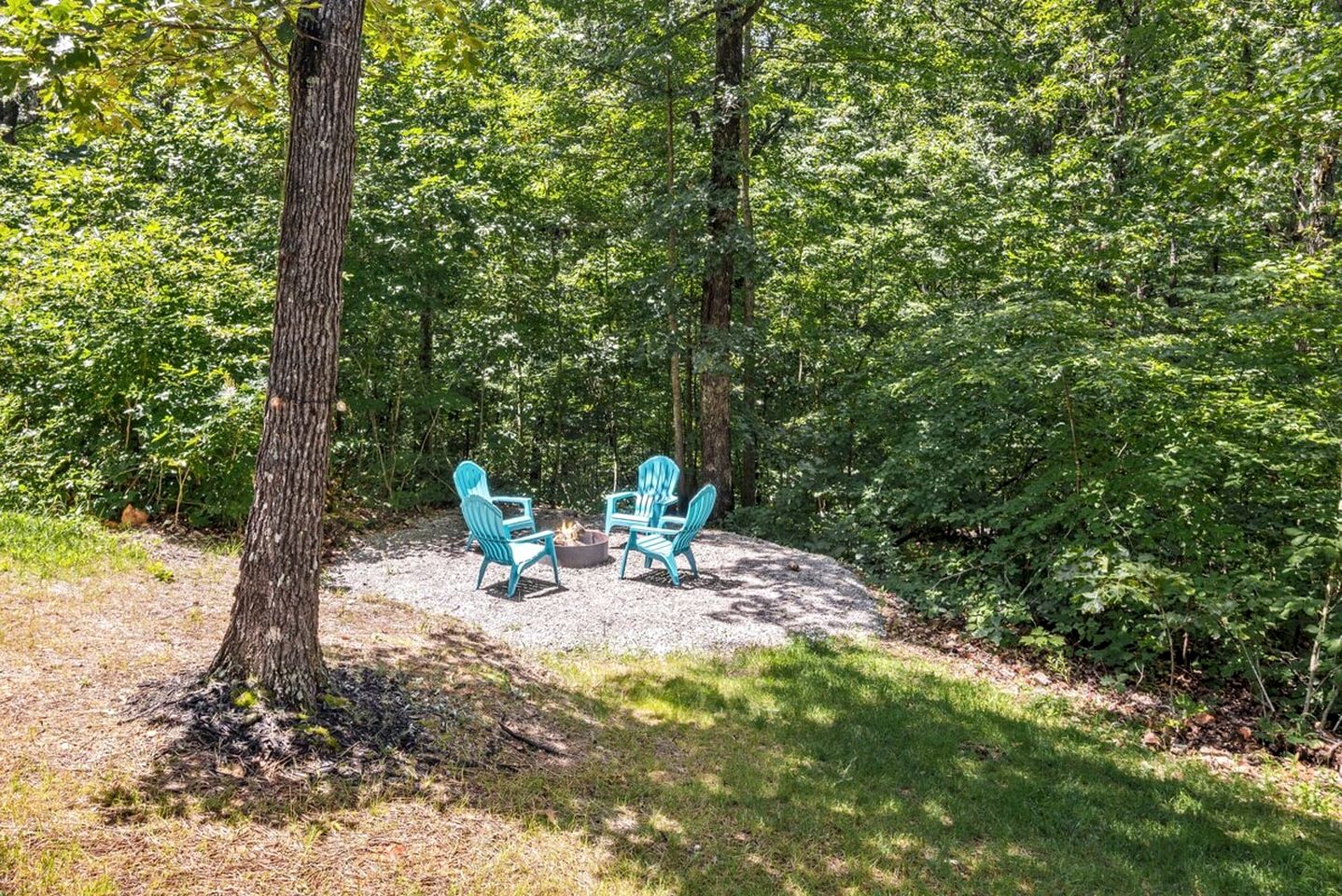 Off-Grid Cabin Surrounded by Trees in Pineville, Missouri