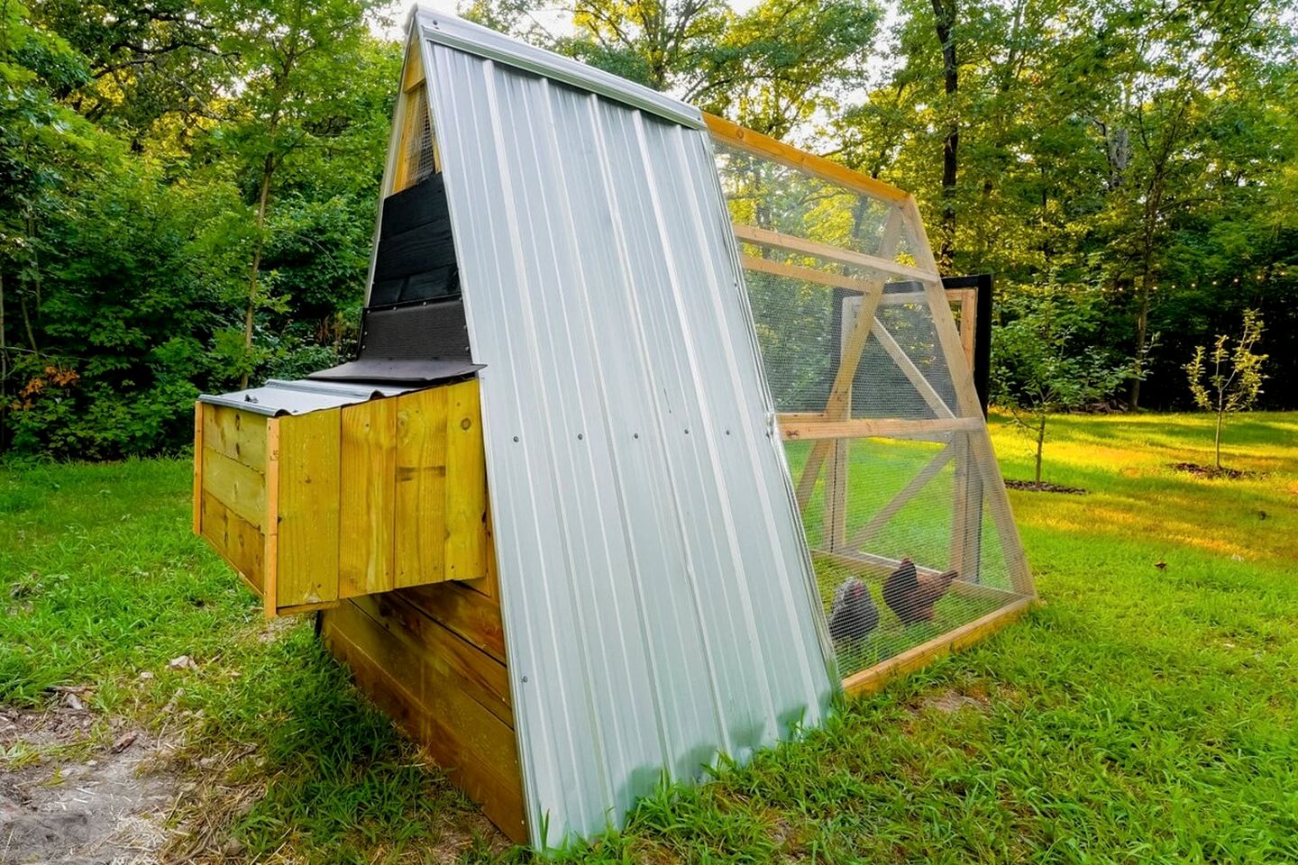 Off-Grid Cabin Surrounded by Trees in Pineville, Missouri