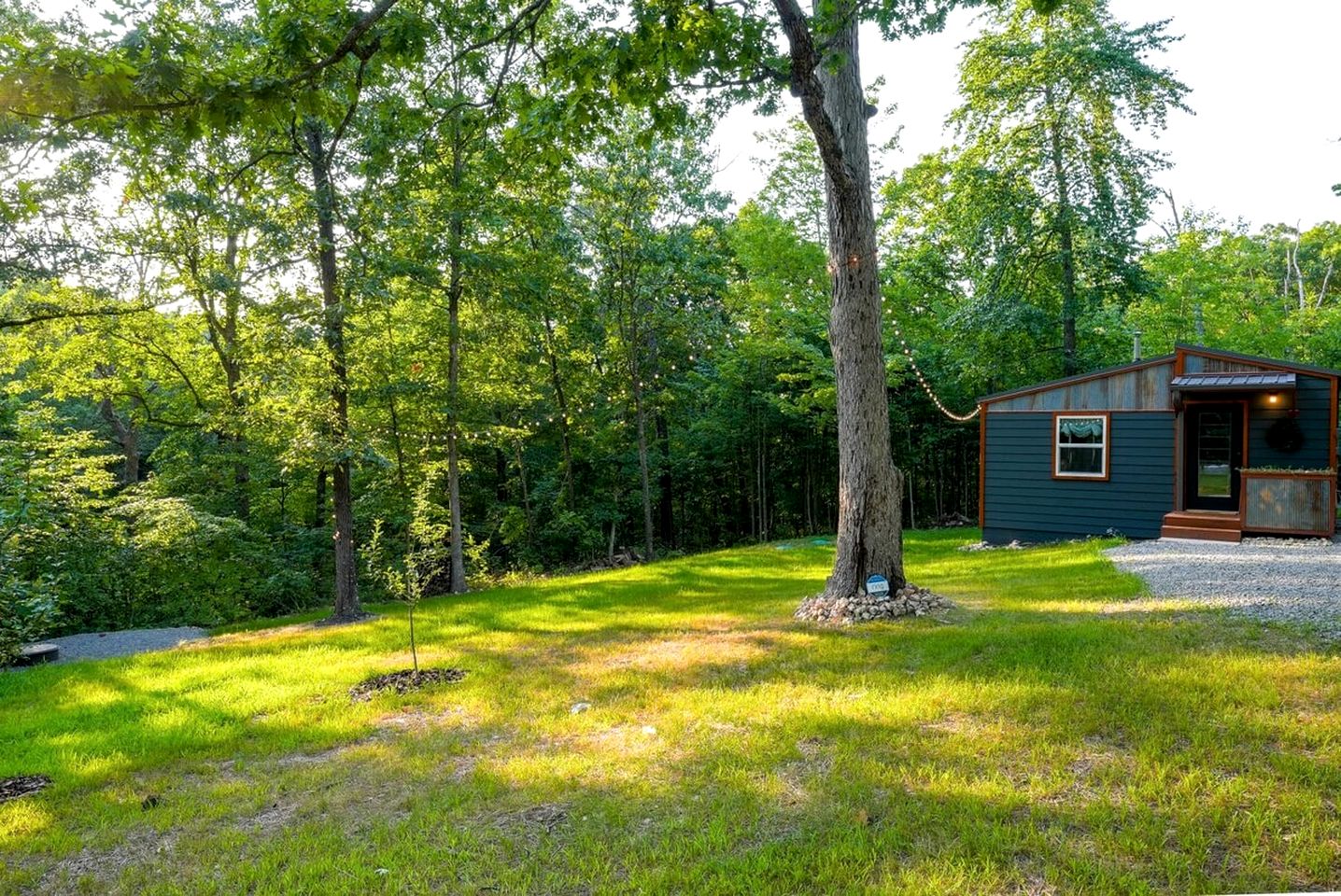 Off-Grid Cabin Surrounded by Trees in Pineville, Missouri