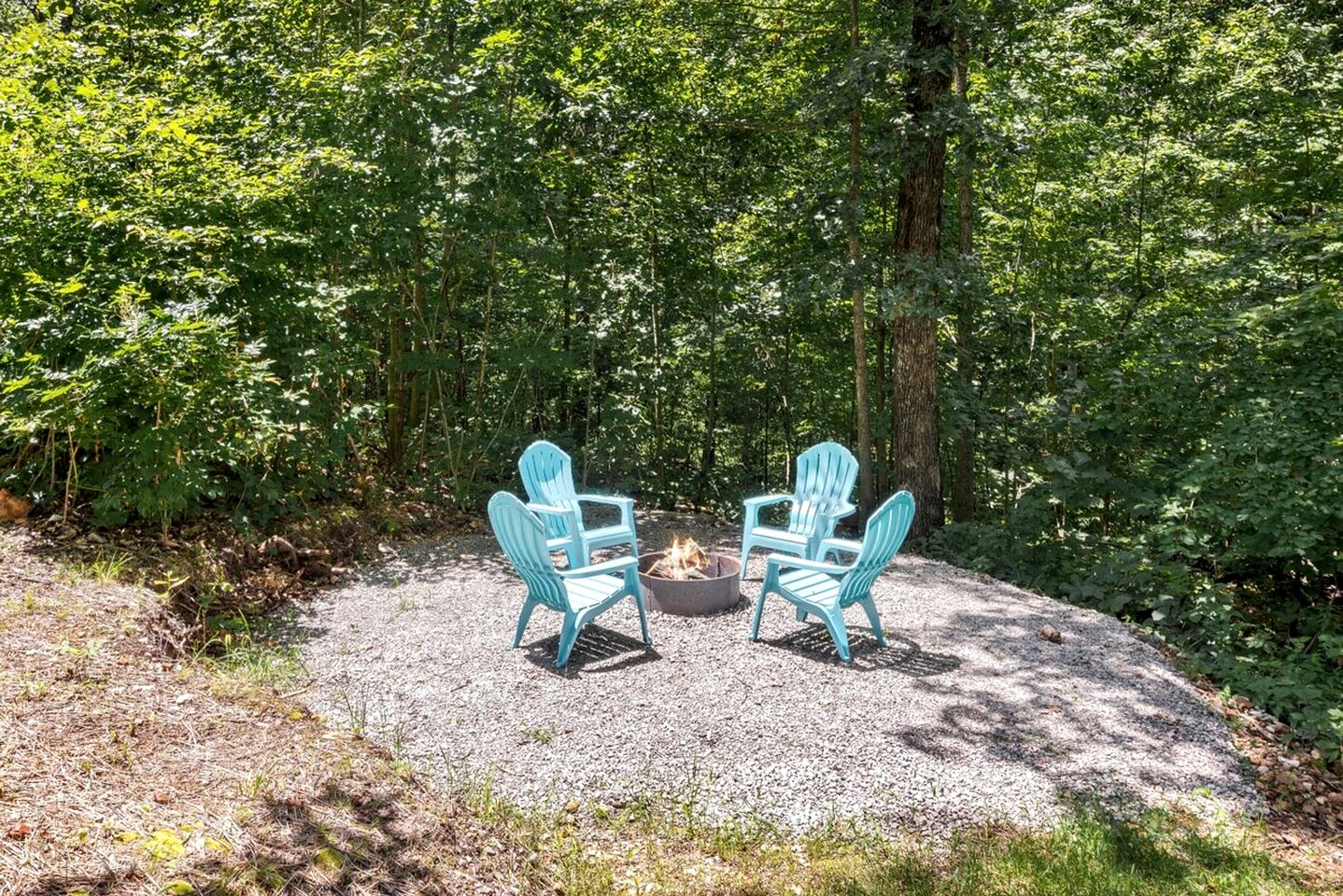 Off-Grid Cabin Surrounded by Trees in Pineville, Missouri