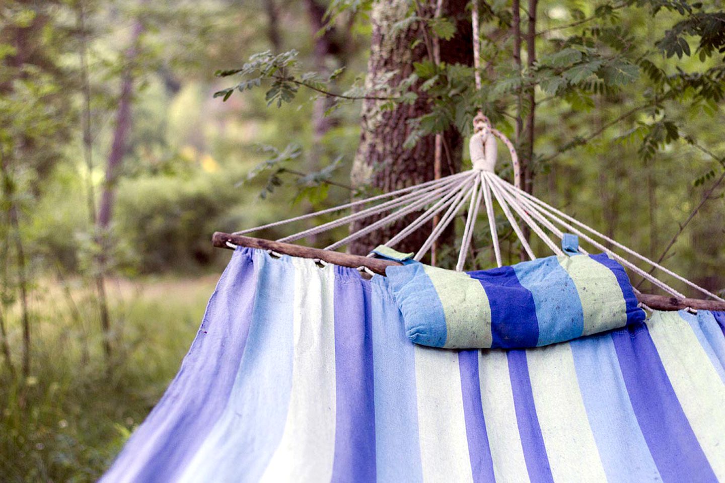 Rustic Camping Cabins for Three with Private Lake in Tuscany
