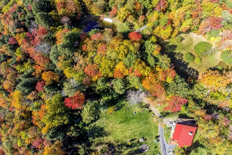 Vacation Rentals (United States of America, Pine Hill, New York)