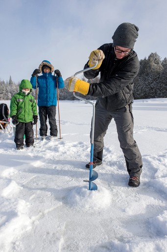 Cottages (Canada, Kirkfield, Ontario)
