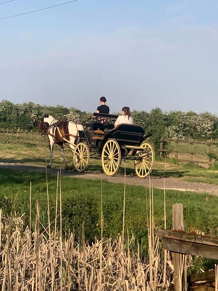 Halcyon Countryside Cabin Sanctuary near Lincolnshire Wolds in Lincolnshire