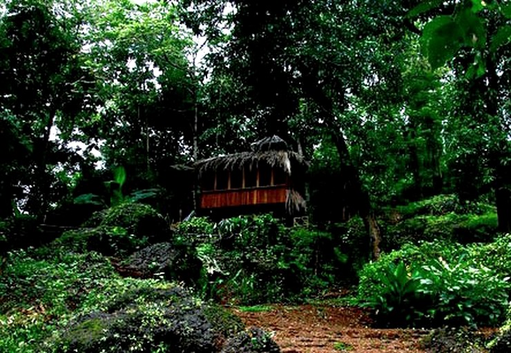 Huts (Bardez , Goa, India)